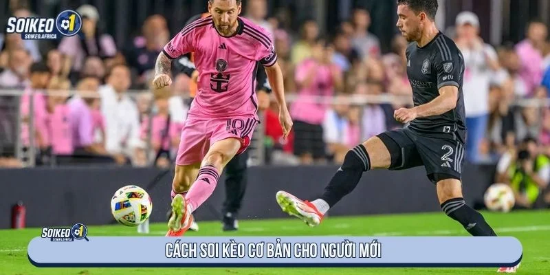 Soi Kèo Bóng Đá Là Gì? Cách Đọc Kèo Chuẩn Nhất Người chơi nên quan tâm đến đội hình ra sân khi soi kèo bóng đá